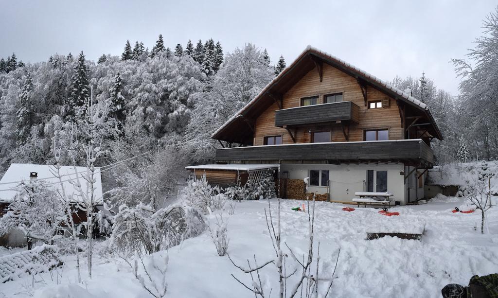 Chalet Ott - Apartment In The Mountains With Sauna Saint-Cergue Quarto foto
